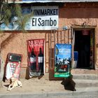 Pisco Elqui  (Valle del Elqui)  - Foto 0085