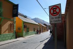 Pisco Elqui (Valle del Elqui)  - Foto 0088