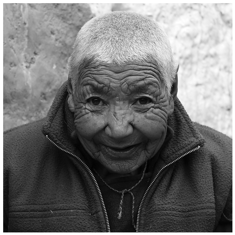 Pishu Portrait (s/w) 03