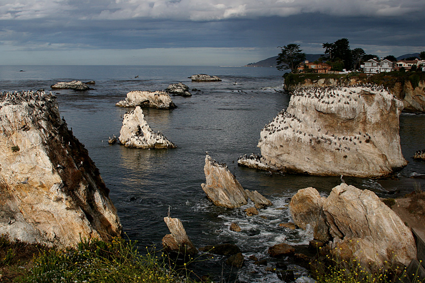 Pismo Beach 2