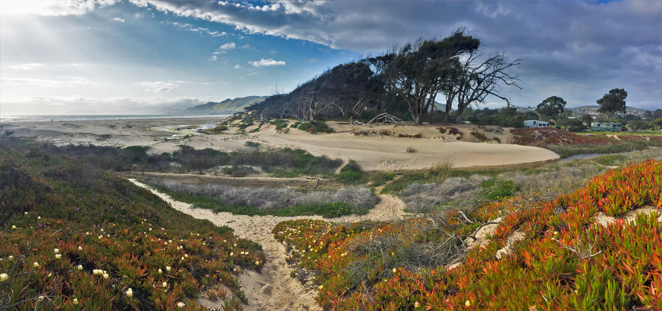 Pismo Beach