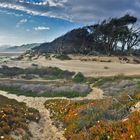 Pismo Beach