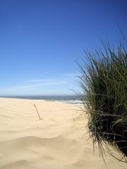 Pismo Beach