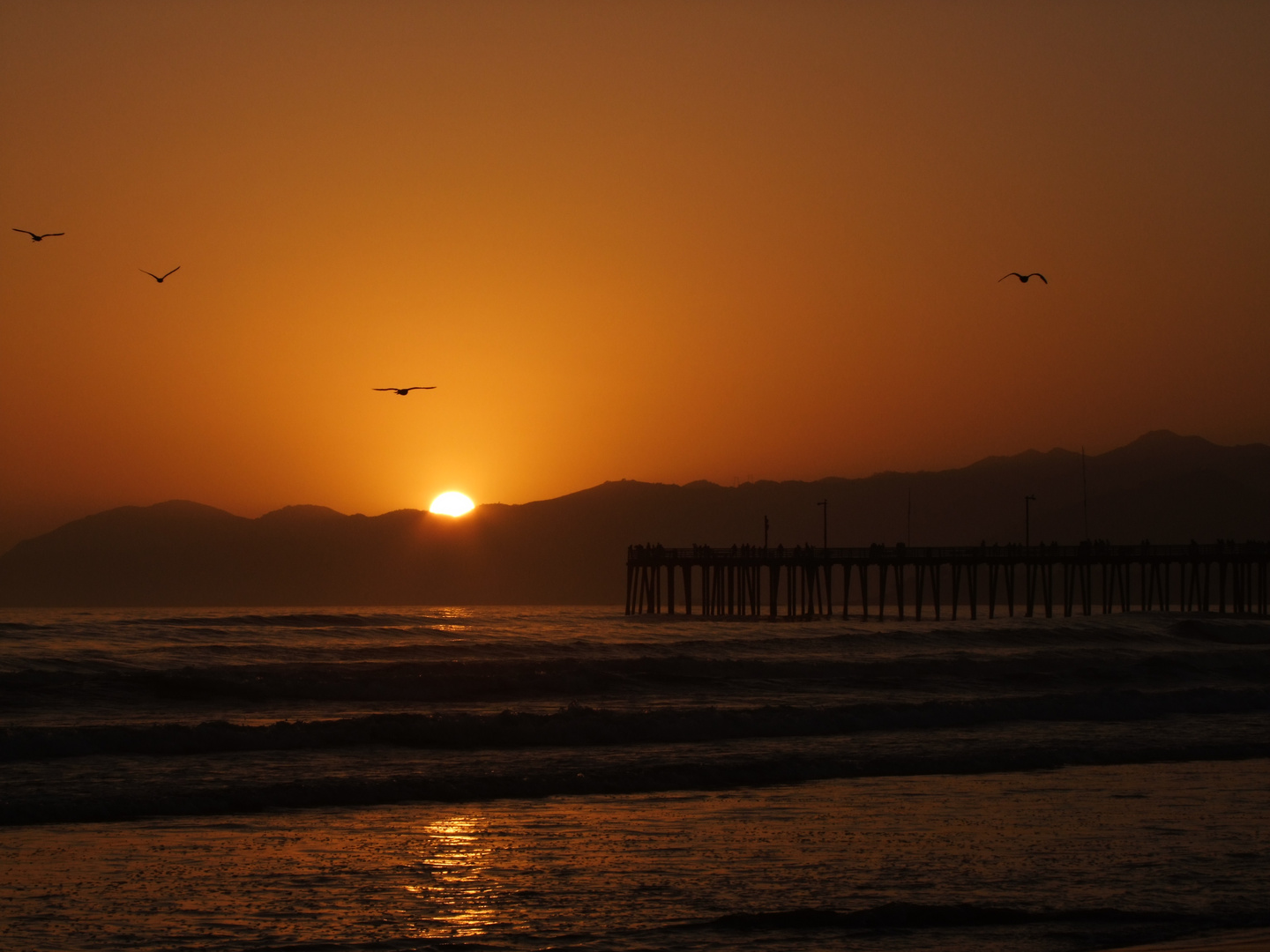 Pismo Beach, CA