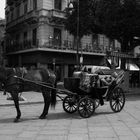 pisolino..all'ombra del teatro Massimo