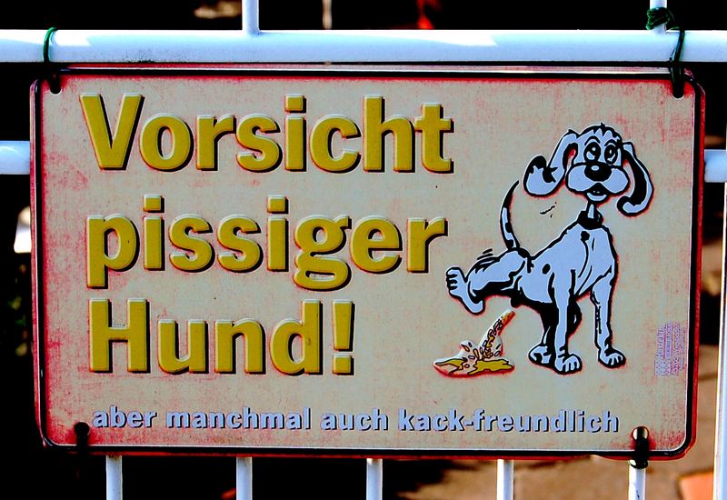 Pissiger Hund