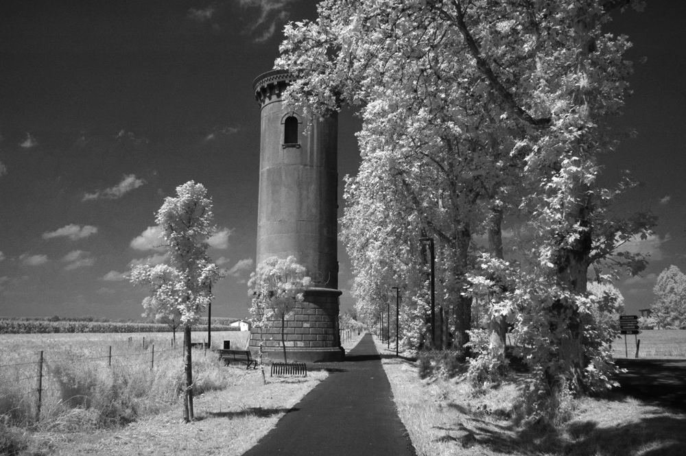 Pista ciclabile Ferrara-Francolino-Fiume Po