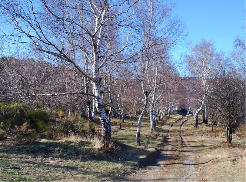 Piste de Lozère