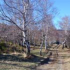 Piste de Lozère