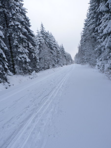 Piste de Ski