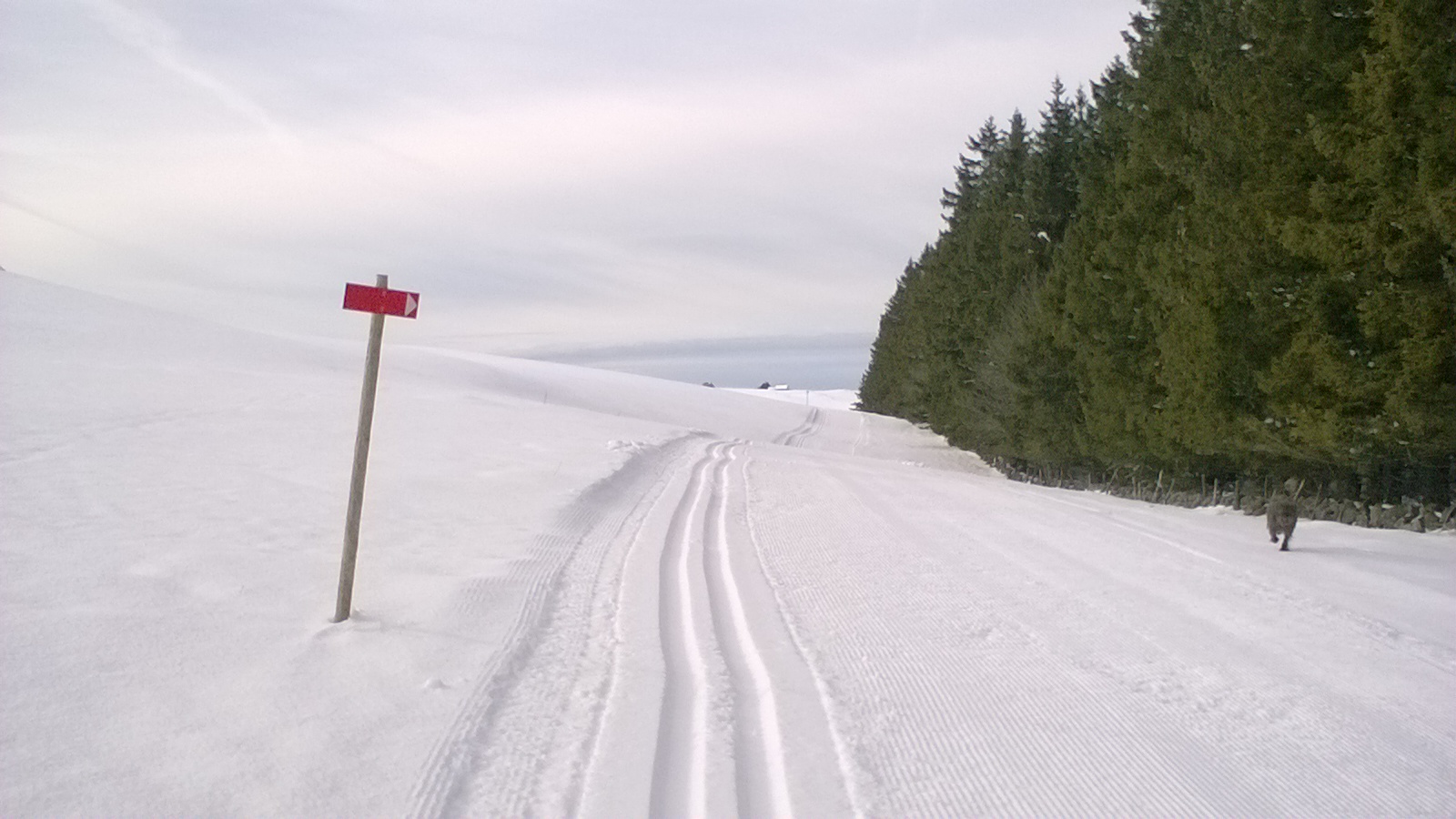 Piste de ski sur l'Aubrac, à Saint Urcize (15)