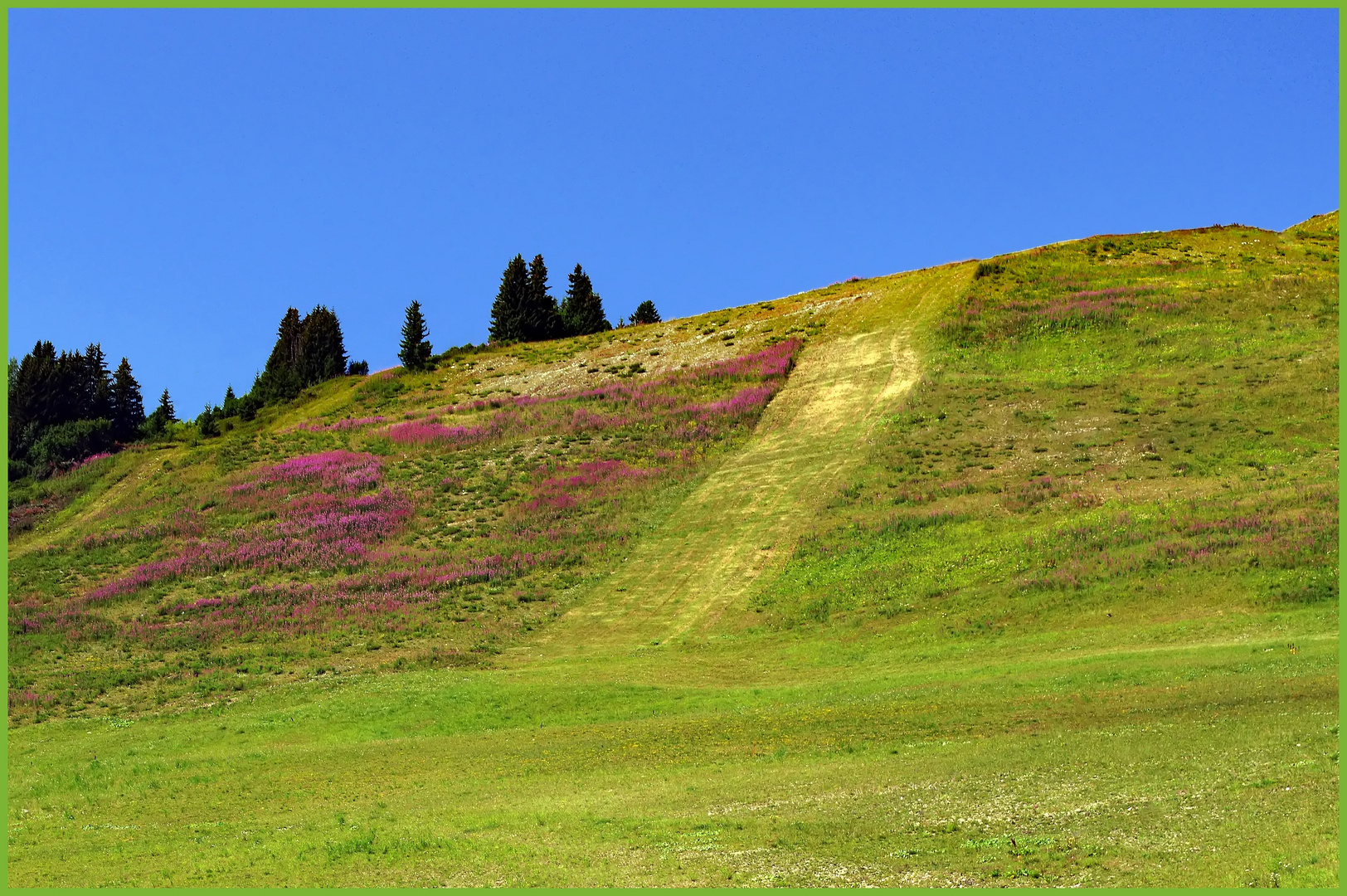 pistes de ski en trois couleurs...