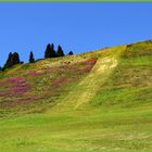 pistes de ski en trois couleurs...