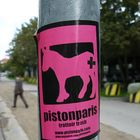 piston paris