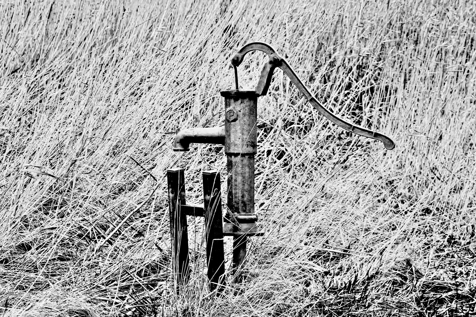 Piston water pump in the fields