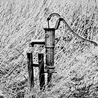 Piston water pump in the fields