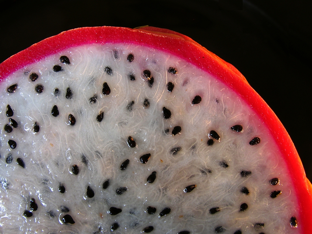 Pitahaya