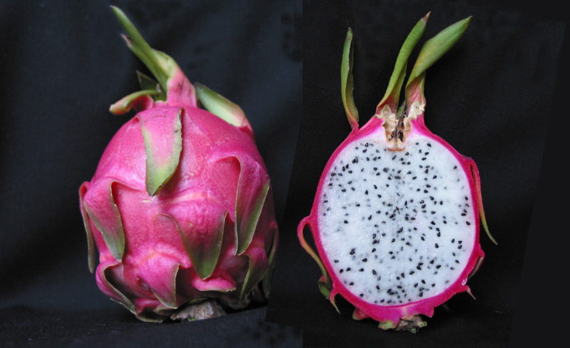 pitahaya