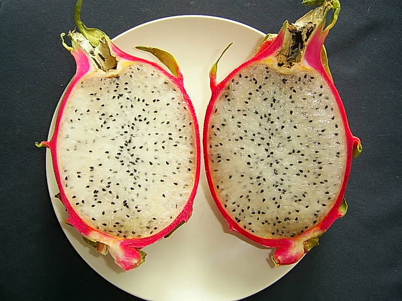 Pitahaya offen