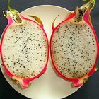 Pitahaya offen