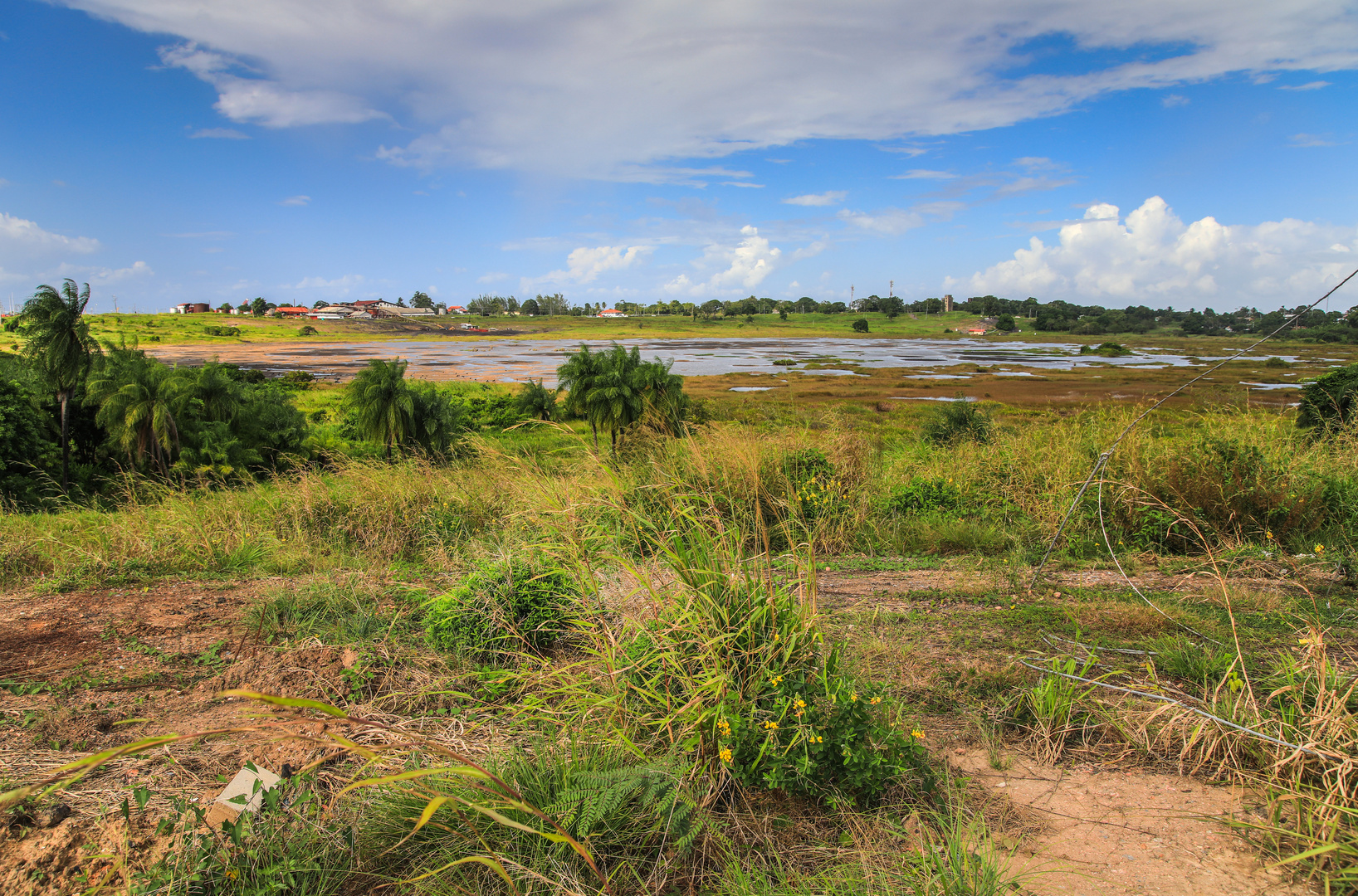 Pitch lake 2