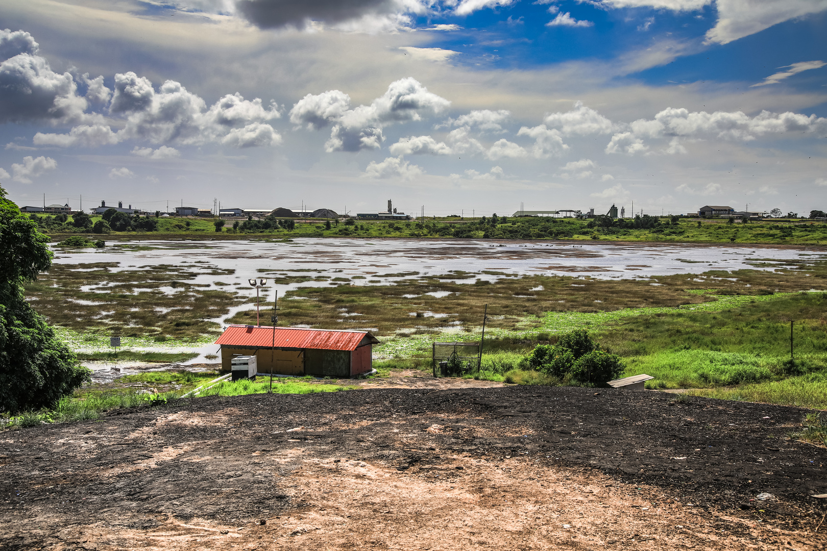 Pitch lake