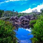 Pittoreske Felsstruktur auf den Seychellen