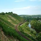 Pittoreske Kulturlandschaft in Besigheim am Neckar