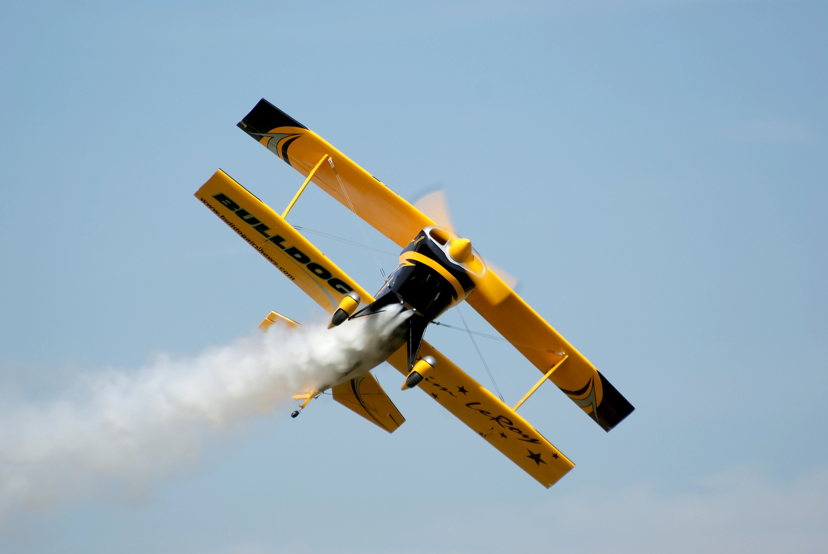 Pitts Bulldog