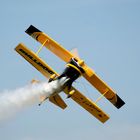 Pitts Bulldog