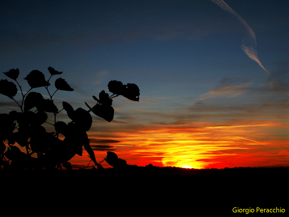 Pitture d'Autunno