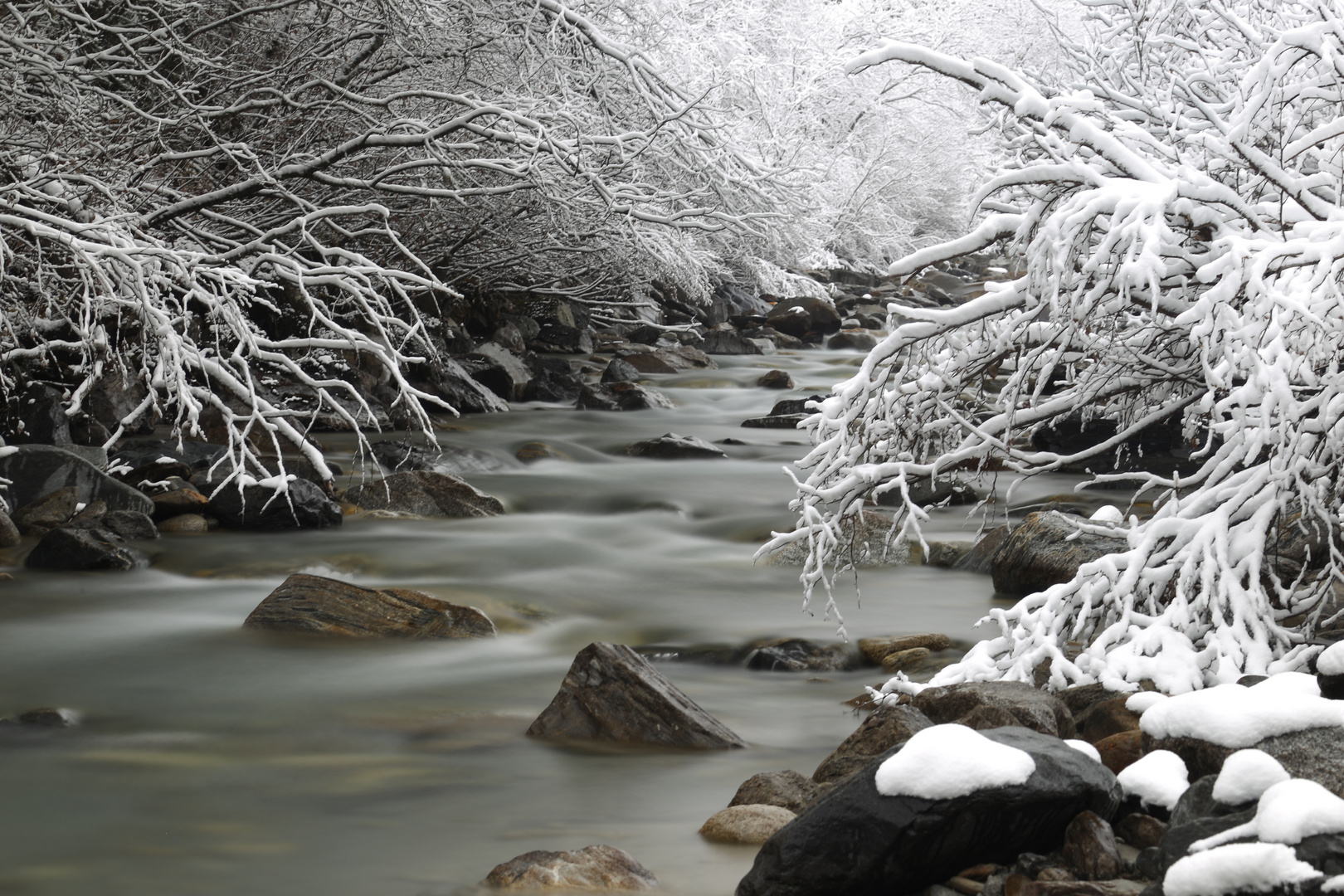 Pitze im Schnee