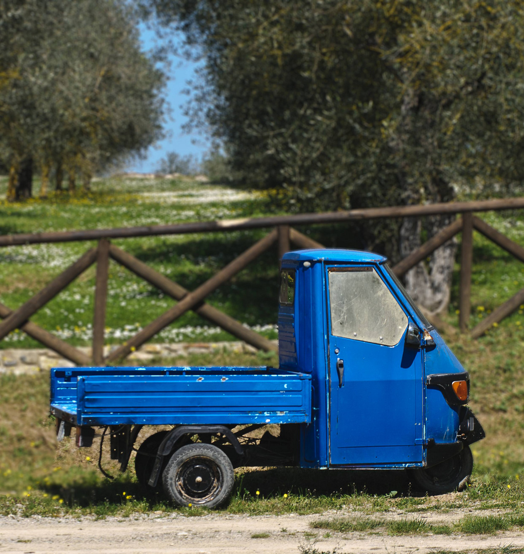 più piccola camion