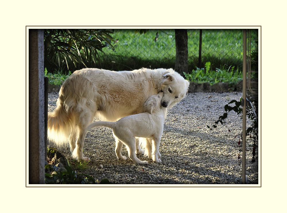 Piumina con Gina, sua madre... adottiva