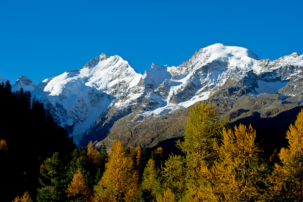 Piz Bernina 1