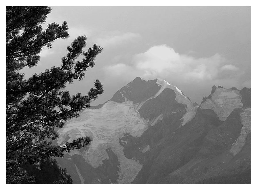 Piz Bernina 4049m.ü.M. mit Biancograt