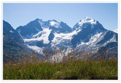 Piz Bernina und Piz Roseg