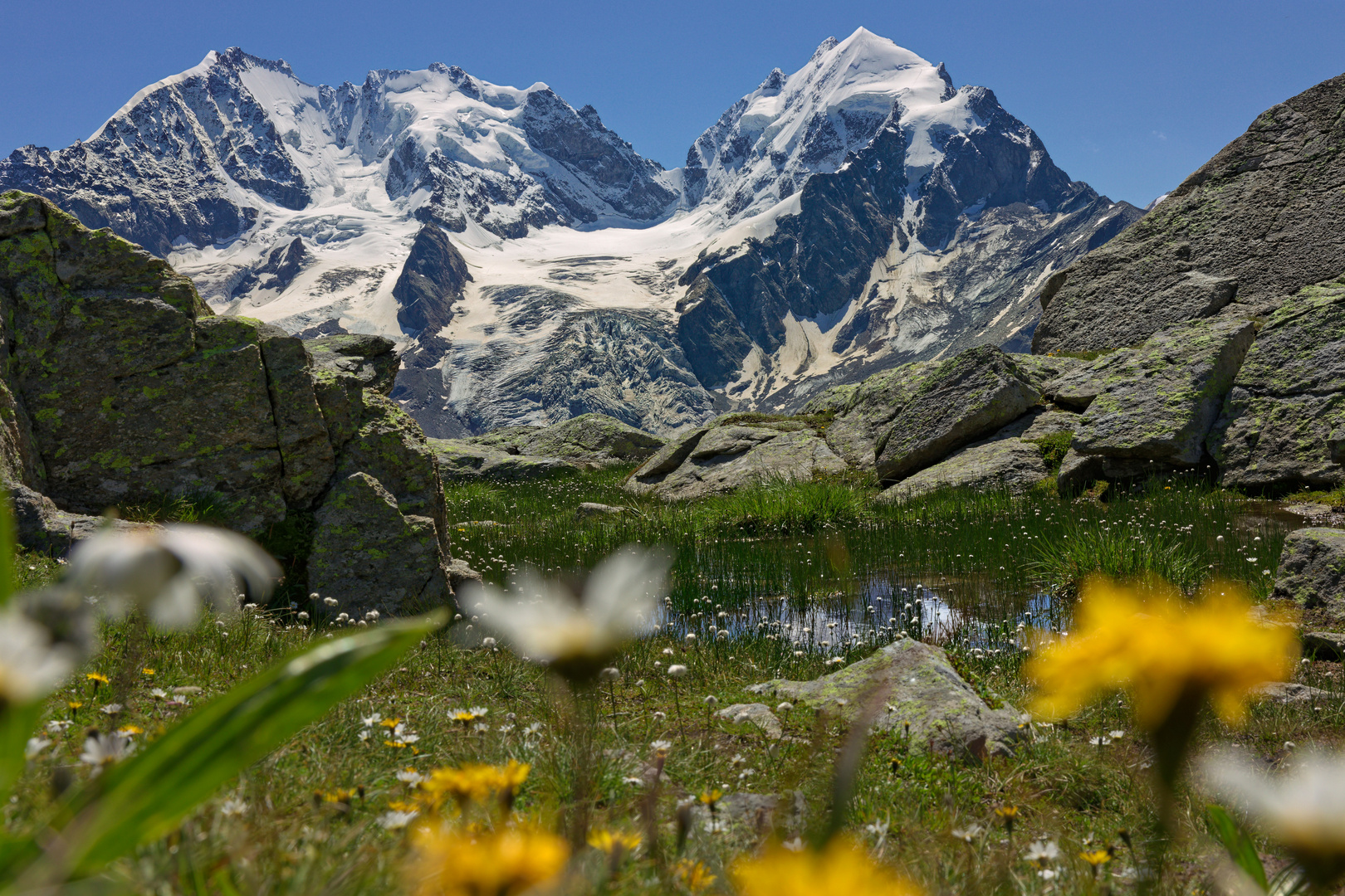 Piz Bernina und Piz Roseg