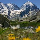 Piz Bernina und Piz Roseg