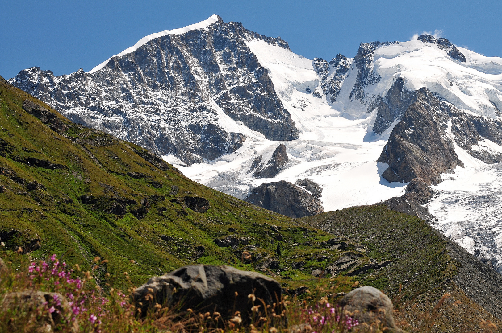 Piz Bernina und Piz Scerscen