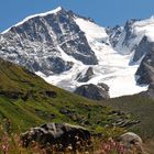 Piz Bernina und Piz Scerscen