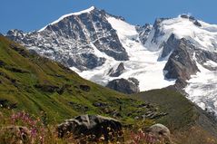 Piz Bernina und Piz Scerscen