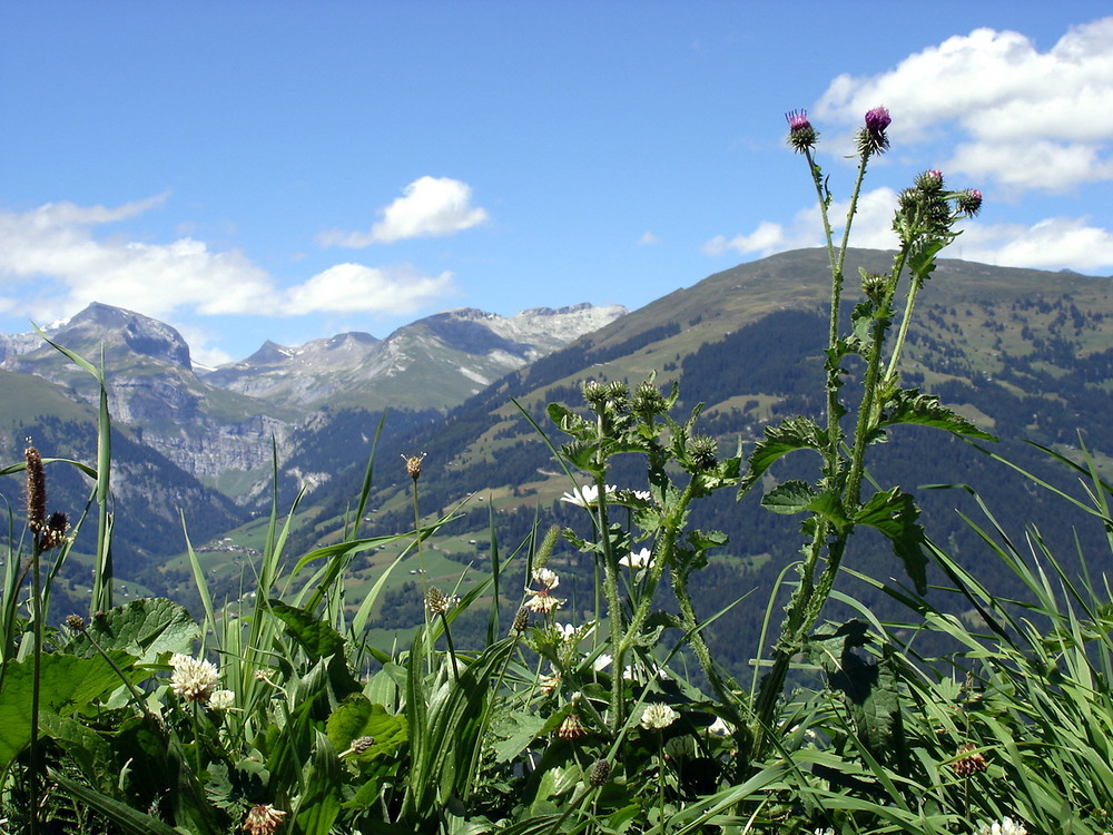 Piz Fluaz, Gebiet Surselva, Graubünden