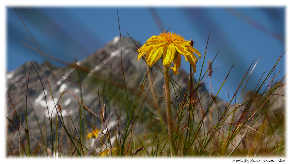 Piz Linard, mit 3410m der König der Silvretta