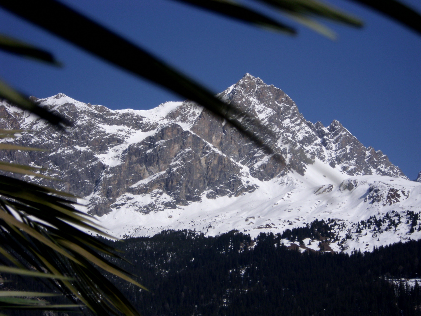 Piz Mitgel bei Savognin