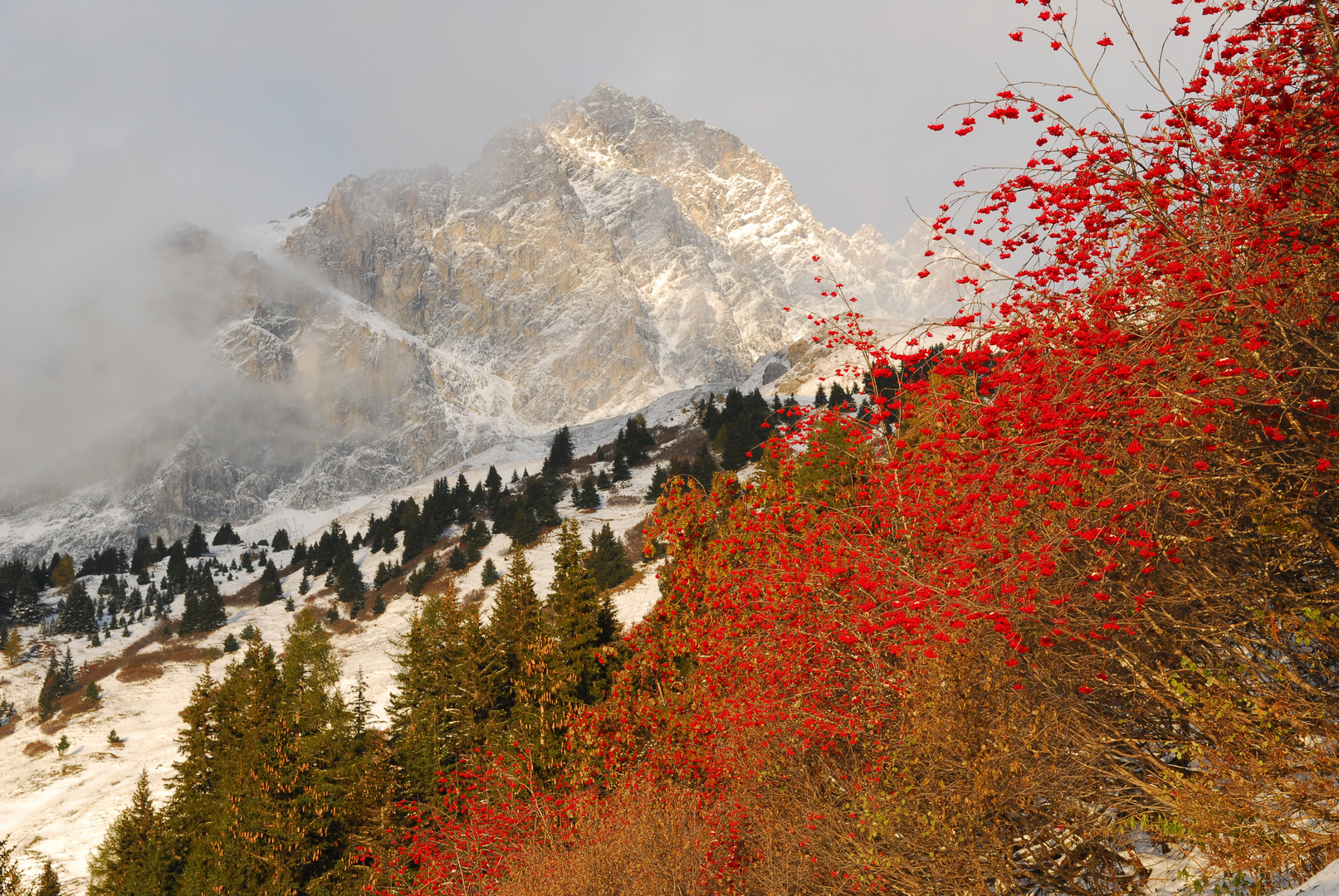 Piz Mitgel mit Vogelbeerbaum