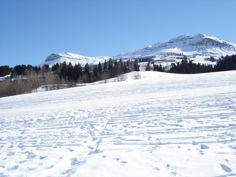 Piz Mundaun, Obersaxen