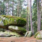 Pizstein Gmünd Blockheide