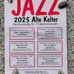 P_jazz Matinee p30-2025-03-24-710-col KonzertNews