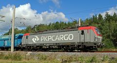 PKP Cargo EU46-505